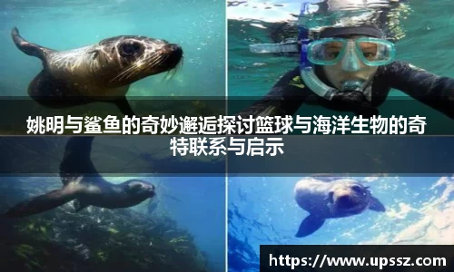 yy易游体育