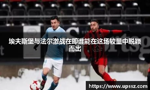 yy体育